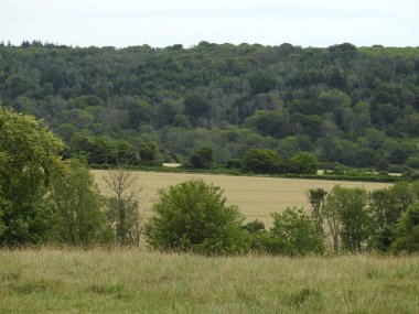İngiltere 'nin kırsal kesimlerinde tarlaları ve ağaçları olan uzak kırsal arazi