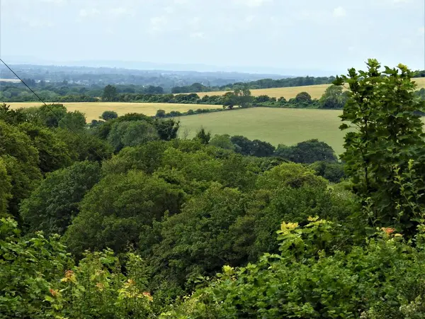 İngiltere 'nin kırsal kesimlerinde tarlaları ve ağaçları olan uzak kırsal arazi