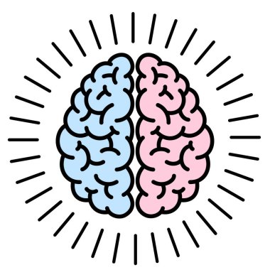 brain simple illustration top angle, vector illustration