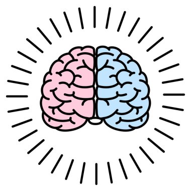 brain simple illustration front angle, vector illustration