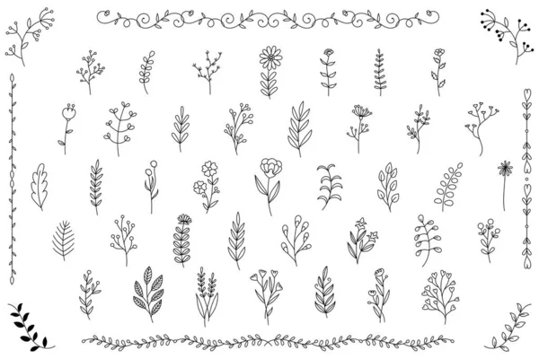 El çizimi bitki simgesi seti, vektör illüstrasyonu. Dekoratif bitki motifi tasarımı Çerçeve.