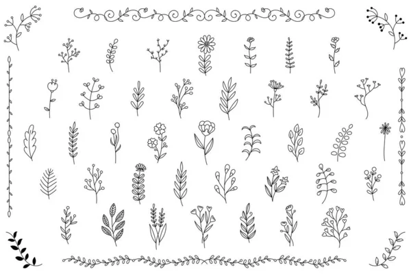 stock vector hand drawn plant icon set,  vector illustration.Decorative plant motif design Frame Element.