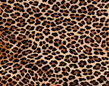 Leopar deseni, vektör illüstrasyonu