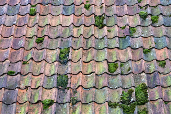 荷兰一座历史建筑的旧风化屋顶瓦 免版税图库图片