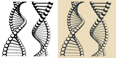 DNA zincirlerinin biçimlendirilmiş vektör çizimleri