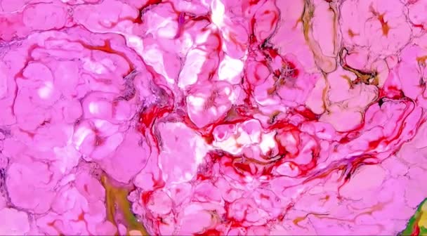 抽象液体运动分形背景 — 图库视频影像
