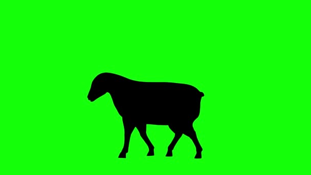 Símbolo Signo Letra Mayúscula Animación Gráficos Movimiento Pantalla Verde Para — Vídeo de stock