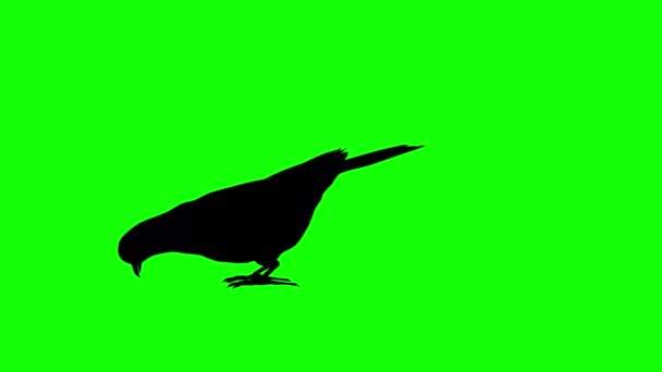 Simbolo Segno Lettera Maiuscola Animazione Grafica Animata Schermo Verde Elementi — Video Stock