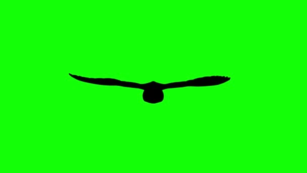 記号記号首都文字ビデオ要素のための緑の画面上のアニメーションモーショングラフィックス — ストック動画