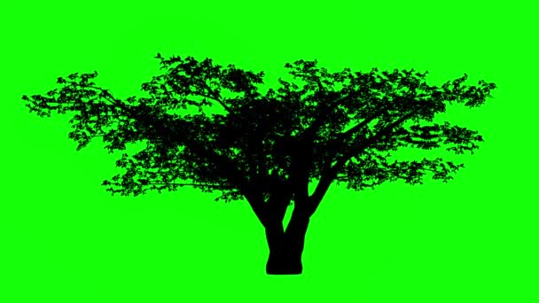 绿色屏幕上用于视频元素的符号大写字母动画图形 — 图库视频影像