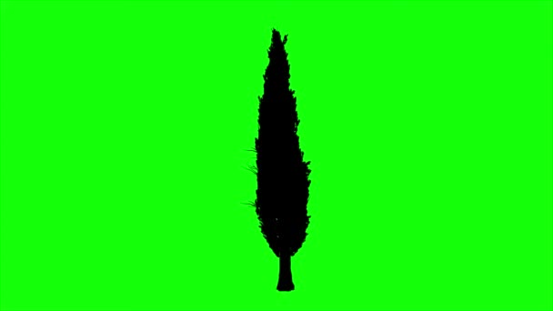 Symbol Migowy Duża Litera Animacja Ruch Grafika Zielonym Ekranie Elementów — Wideo stockowe
