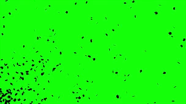 Flerfärgad Bright Explosion Vivid Partiklar Animerad Framtid Färgrika Gradienter Makro — Stockvideo