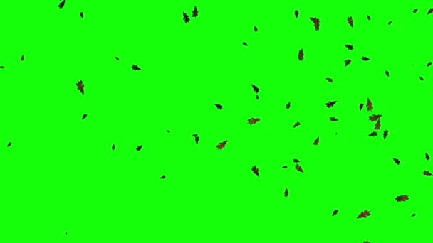 Silhouette Zöld Képernyőn Mozgás Háttér — Stock videók