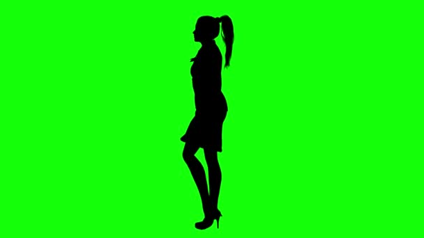Silhouette Auf Grünem Bildschirmhintergrund — Stockvideo