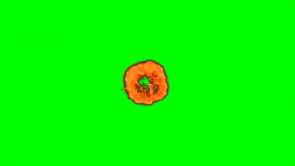 Golden Confetti Party Popper Explosion Green Screen — стокове відео