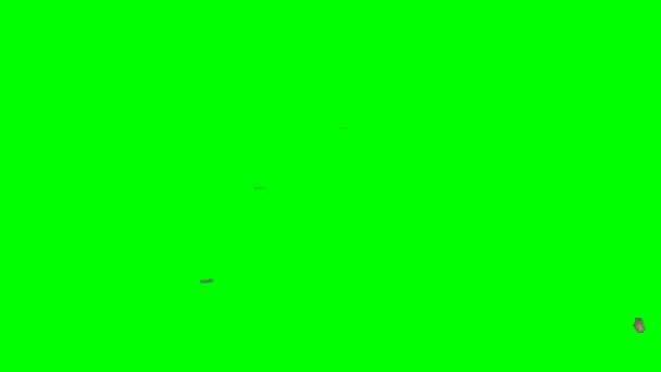 Animatie Groen Scherm Achtergrond — Stockvideo