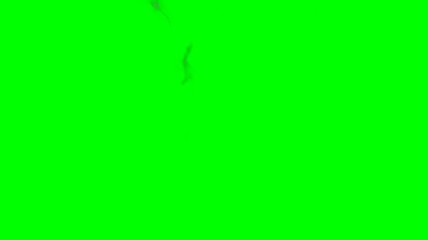 Animation Green Screen Background — Stock Video