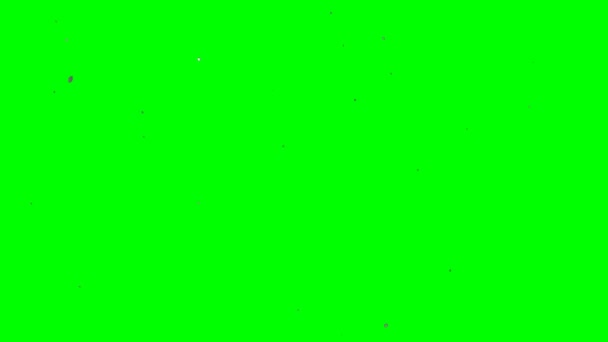Анимация Зеленом Фоне Экрана — стоковое видео
