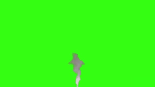 緑の画面を背景にしたアニメーション — ストック動画