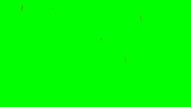 绿色屏幕背景下的动画 — 图库视频影像