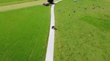 Bir saman tarlasının, buğday tarlasının hava görüntüleri. Güzel dinamik peyzaj dronu