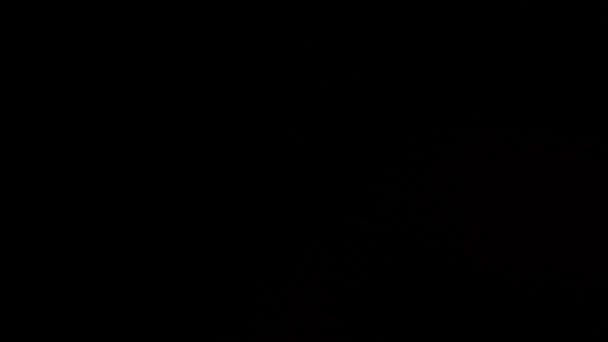 ภาพพ นหล งการร วไหลของแสงภาพเคล อนไหวภาพสต แสงเลนส วกระพร บรอบท าให ภาพเคล — วีดีโอสต็อก