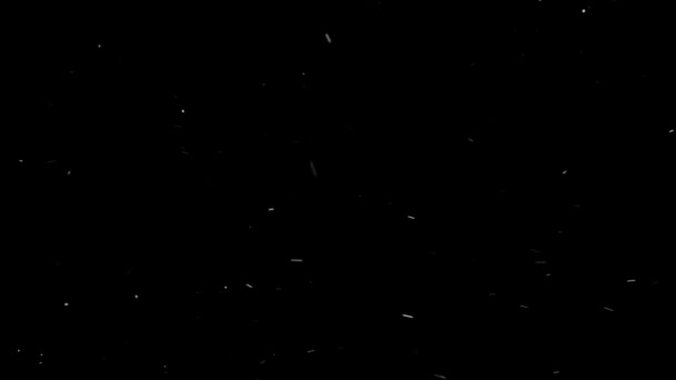 Scurgeri Lumină Efect Fundal Animație Stoc Imagini Lentilele Luminoase Sclipesc — Videoclip de stoc