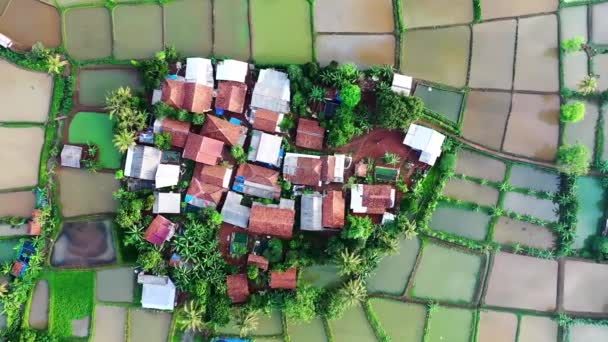 Légi Felvétel Egy Szénamezőről Búzamezőről Gyönyörű Dinamikus Táj Drón — Stock videók