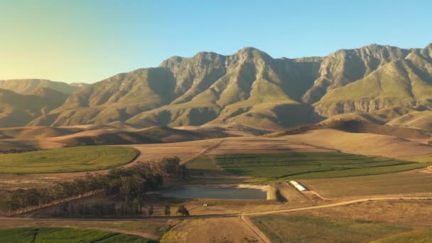 Luftaufnahmen Von Einem Heufeld Weizenfeld Schöne Dynamische Landschaft Drohne — Stockvideo