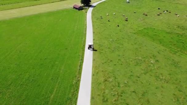 Filmagem Aérea Campo Feno Campo Trigo Bonito Drone Paisagem Dinâmica — Vídeo de Stock