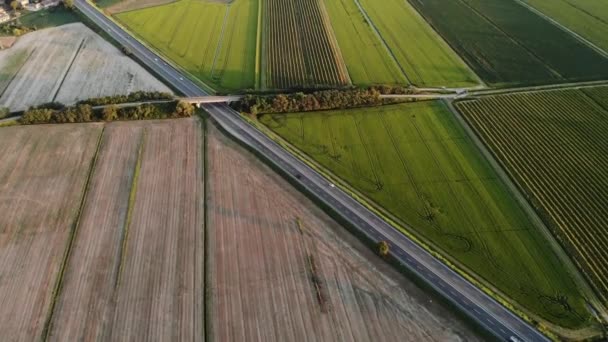 Aerial Footage Hayfield Wheat Field Beautiful Dynamic Landscape Drone — Stock Video