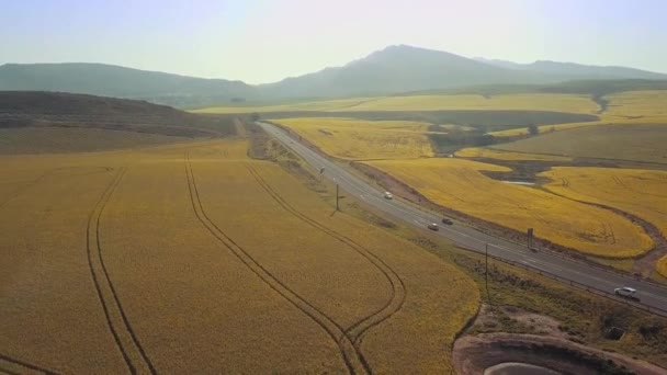 Letecký Záznam Sena Pšeničné Pole Krásná Dynamická Krajina Dron — Stock video