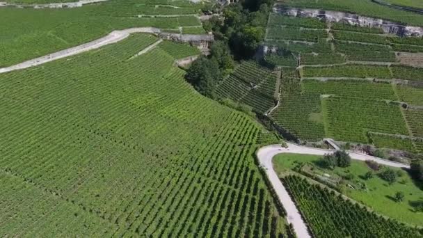 Luftaufnahmen Von Einem Heufeld Weizenfeld Schöne Dynamische Landschaft Drohne — Stockvideo