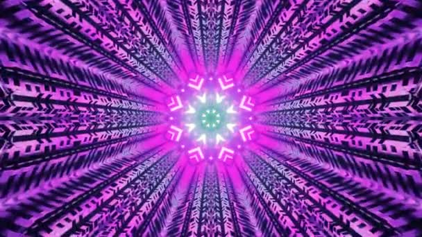 Цвет Розово Синих Неоновых Трубок Концепция Цифрового Дизайна Цикл Анимации — стоковое видео