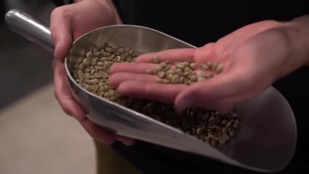 Rengarenk Buharlı Sebzelerin Tavada Kızarmasını Karıştırılmasını Yakından Izleyin Yemek Pişirme — Stok video