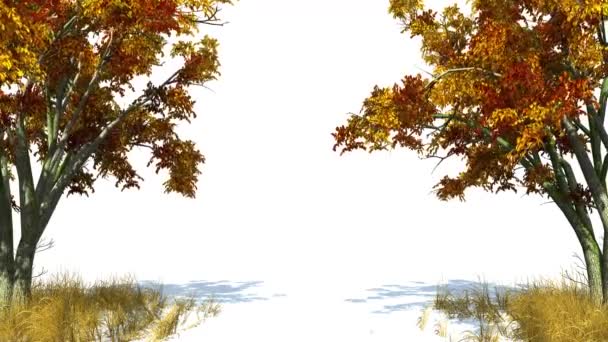 Animazione Schermo Verde Carattere Del Coniglio Pascolo Poi Alza Guarda — Video Stock