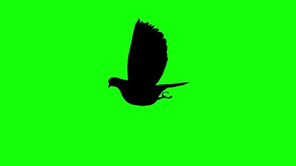 Zöld Képernyős Animáció Nyúl Karaktere Legeltetés Majd Felkel Megnézi Kroma — Stock videók