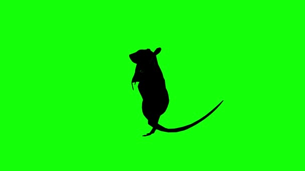 Animation Écran Vert Personnage Lapin Broute Puis Lève Regarde Clé — Video
