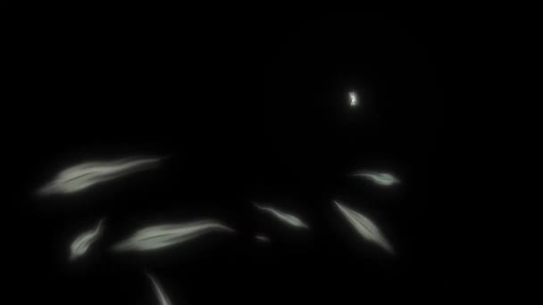 Flythrough Sci Abstraktní Krychlová Chodba Zářícími Oranžovými Světly Animace Futuristický — Stock video