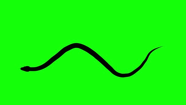 Зелений Синій Неоновий Великі Дані Привіт Технології Інформаційного Потоку Блокчейн — стокове відео