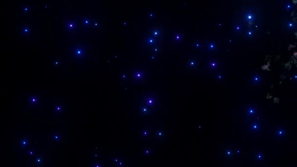 Volando Través Las Estrellas Nebulosa Azul Espacio Exploración Galaxias Través — Vídeo de stock