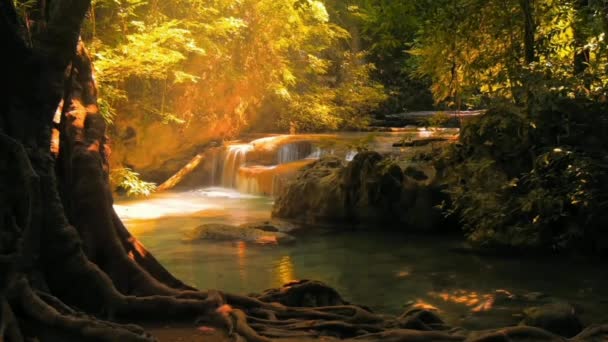 Anime Bir Ağaçla Yeşil Bir Ormanda Sallanıyor Romantik Manzaralar Animasyon — Stok video