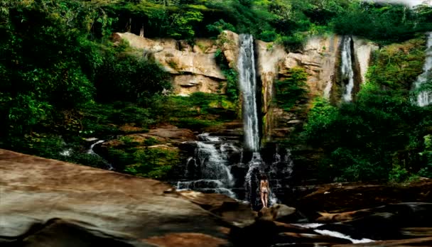 ロマンチックな風景 アニメアートアニメーションで緑の森で泳ぐアニメ — ストック動画