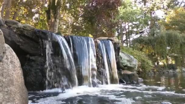 Kleiner Bergfluss Mit Kristallklarem Wasser Wasser Fließt Über Die Mit — Stockvideo