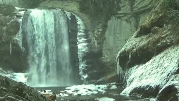 Mała Górska Rzeka Krystalicznie Czystą Wodą Woda Przepływa Przez Kamienie — Wideo stockowe