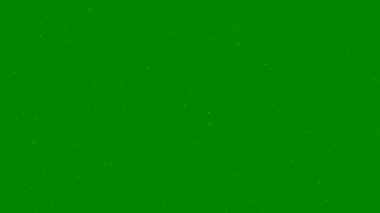 hafif dizgiler canlandırma yeşil ekran arkaplan vfx