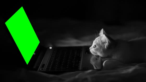 Chroma Key Green Screen Blasts Efekty Vfx Zastosowań Produkcyjnych — Wideo stockowe