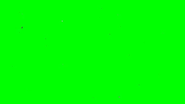 Licht Snaren Animatie Groen Scherm Achtergrond Vfx — Stockvideo