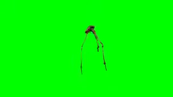 Световые Струны Анимации Зеленый Фон Экрана Vfx — стоковое видео