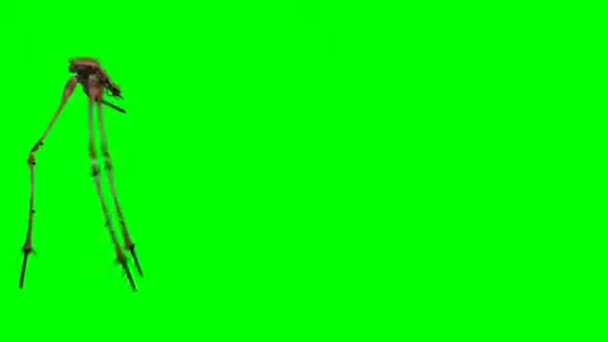 Cordas Luz Animação Tela Verde Fundo Vfx — Vídeo de Stock